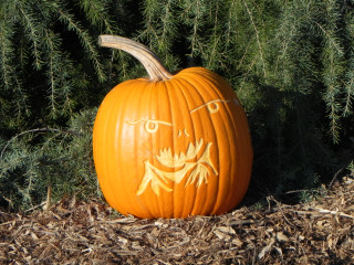 Motor Biker 2, Nipomo Pumpkin Patch best carving idea